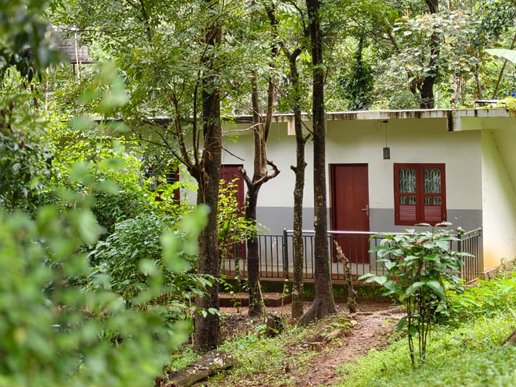 Rooms in Thirunelli